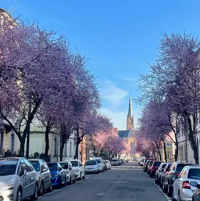 Quartier de l'appartement ou autre quartier proche