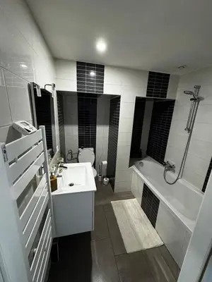 Salle de bains dans l'établissement Appartement cosy au centre ville de Colmar