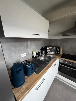 Cuisine ou kitchenette dans l'établissement Appartement cosy au centre ville de Colmar