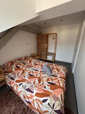 Un ou plusieurs lits dans un hébergement de l'établissement Appartement cosy au centre ville de Colmar