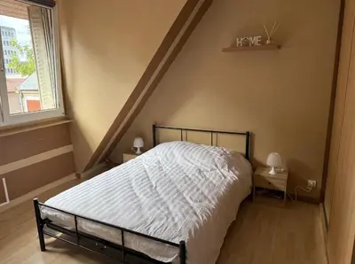 Un ou plusieurs lits dans un hébergement de l'établissement Magnifique appartement lumineux au cœur de Belfort