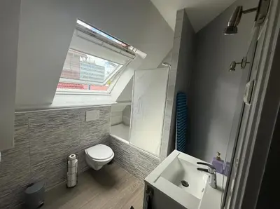 Salle de bains dans l'établissement Magnifique appartement lumineux au cœur de Belfort