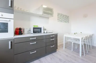 Cuisine ou kitchenette dans l'établissement Magnifique Appartement Mulhouse Stationnement Gratuit