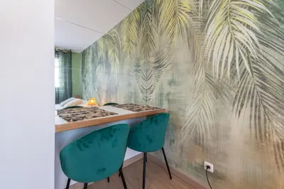 Plan de l'établissement Magnifique Studio Mulhouse Centre