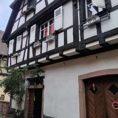Musloch Kaysersberg