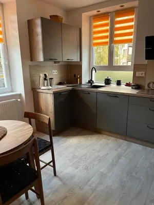 Cuisine ou kitchenette dans l'établissement Chez F & G terrasse privée dans jardin