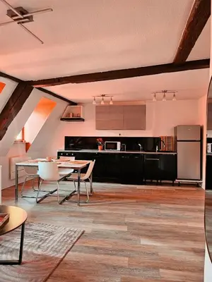 Cuisine ou kitchenette dans l'établissement Joli T2 centre historique de Mulhouse