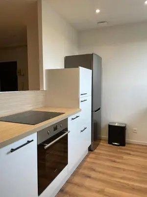 Cuisine ou kitchenette dans l'établissement Les nuits du Lion