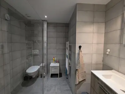 Salle de bains dans l'établissement Appartement cocooning au cœur des Hautes-Vosges avec terrasse et parking privé - FR-1-589-841