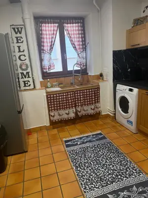 Cuisine ou kitchenette dans l'établissement Le petit nid de cigogne