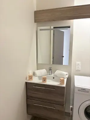 Salle de bains dans l'établissement Le Pasteur Élégant T2 au centre de Mulhouse