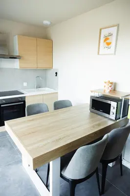 Cuisine ou kitchenette dans l'établissement Maison MUGUET 1 SPA-PARKING-COLMAR