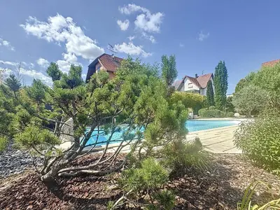 Piscine de l'établissement Vogelgarten - Maison de vacances entre vignes, et chants d'oiseaux ou située à proximité