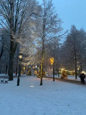 L'établissement Le charme d'Alsace en hiver