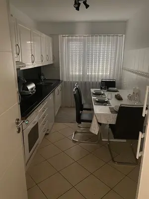 Cuisine ou kitchenette dans l'établissement Cozy apartment near Basel Airport