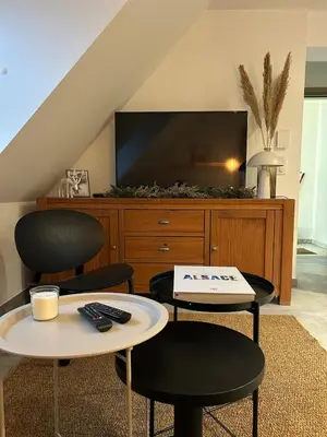 Télévision ou salle de divertissement dans l'établissement Charmant appartement avec vue sur les vignes