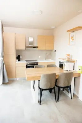 Cuisine ou kitchenette dans l'établissement Maison MUGUET 3 SPA-PARKING-COLMAR