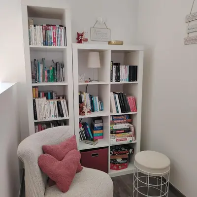 Bibliothèque dans le séjour chez l'habitant