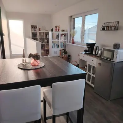 Cuisine ou kitchenette dans l'établissement Au Chat l'Heureux