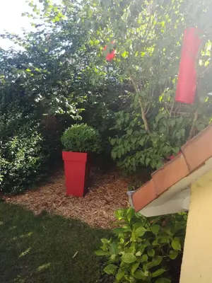 Jardin de l'établissement Au bon repos - Escapade idéale au cœur de l'Alsace