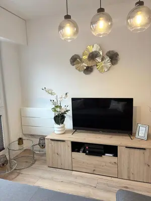 Télévision ou salle de divertissement dans l'établissement Magnifique logement hyper centre Mulhouse Lambert