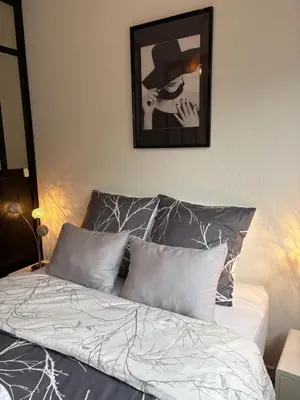 Un ou plusieurs lits dans un hébergement de l'établissement Magnifique logement hyper centre Mulhouse Lambert
