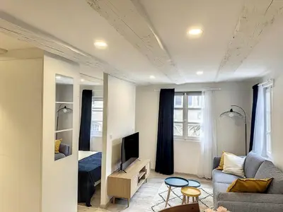 Télévision ou salle de divertissement dans l'établissement La Grenouillere Chic Appartement Centre Colmar