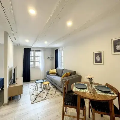 La Grenouillere Chic Appartement Centre Colmar
