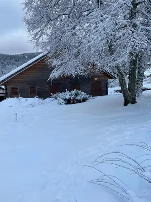L'établissement Chalet cosy en pleine nature proche Gérardmer en hiver