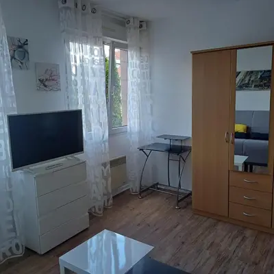 Télévision ou salle de divertissement dans l'établissement Furnished studio in city center in a quiet neighborhood