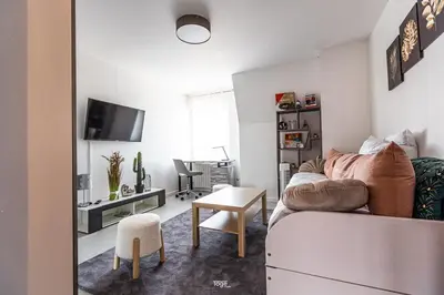 Télévision ou salle de divertissement dans l'établissement Magnifique Studio au coeur de Huningue le Central