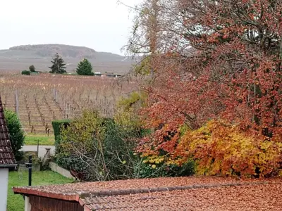Paysage naturel près de l'appartement