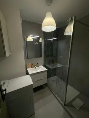 Salle de bains dans l'établissement Bord du Canal 134 Logement Terrasse Mulhouse