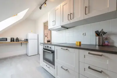 Cuisine ou kitchenette dans l'établissement Bel appartement au centre Colmar stationnement