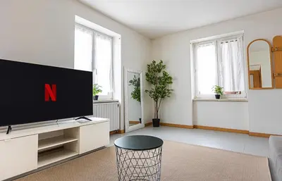 Télévision ou salle de divertissement dans l'établissement Super appartement Near Basel