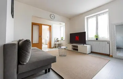 Télévision ou salle de divertissement dans l'établissement Super appartement Near Basel