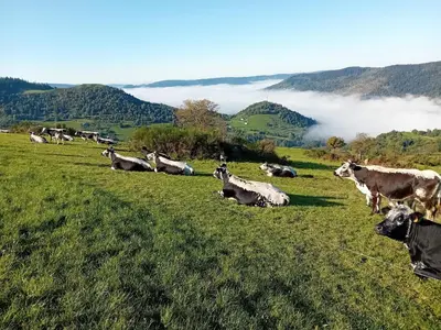 Paysage naturel près de l'appartement