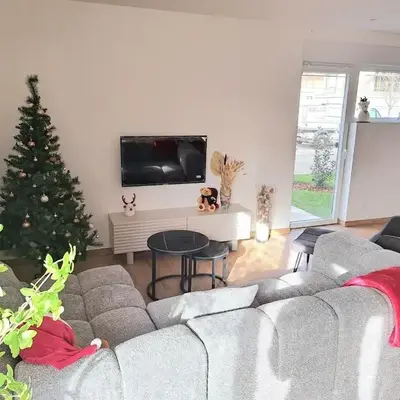 Chez Fernand à Colmar Maison neuve tout confort avec jardin et parking inclus