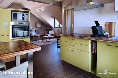 Cuisine ou kitchenette dans l'établissement Combo Praelatenberg 2 appartements dans la même maison