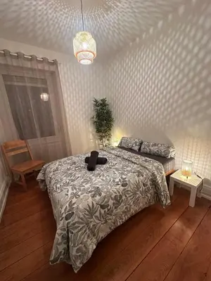 Un ou plusieurs lits dans un hébergement de l'établissement Appartement RDC F3 centre ville