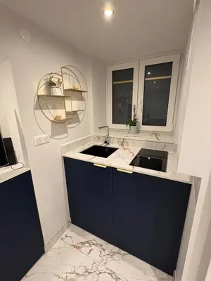Cuisine ou kitchenette dans l'établissement Studio neuf élégant Proche gare Mulhouse