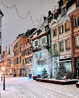 L'établissement Le Cocon des rêves studio neuf avec terrasse et Parking en hiver
