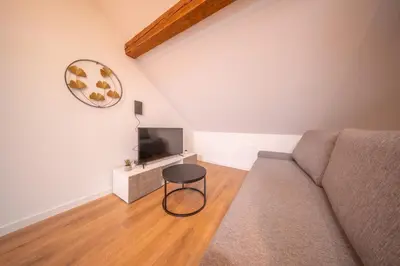 Télévision ou salle de divertissement dans l'établissement Frontiere Suites 8 Saint-Louis Proche Bale