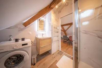 Salle de bains dans l'établissement Frontiere Suites 8 Saint-Louis Proche Bale
