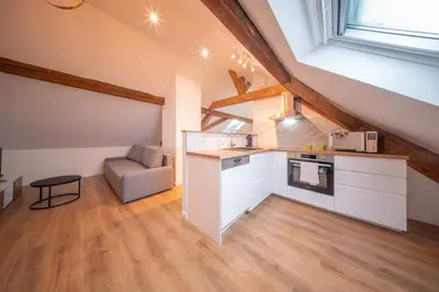Cuisine ou kitchenette dans l'établissement Frontiere Suites 8 Saint-Louis Proche Bale