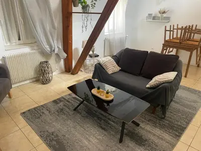 Coin salon dans l'établissement Appartement spacieux, proche centre ville