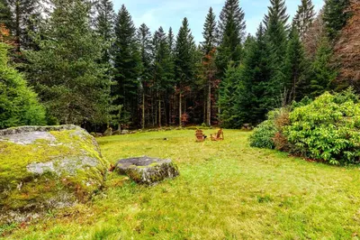 Paysage naturel près de le chalet