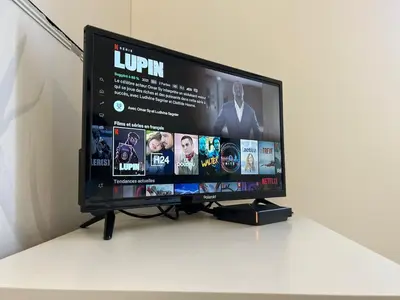 Télévision ou salle de divertissement dans l'établissement Very nice apartment Huningue - close to Basel