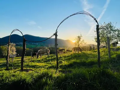 Paysage naturel près de la maison de vacances