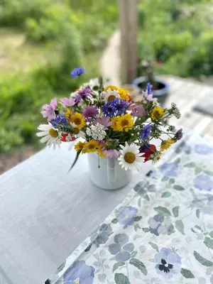Jardin de l'établissement Tiny House Elsass - Natur, Ruhe & Erholung